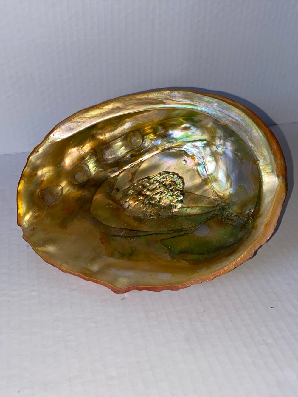 Vintage MCM Orange Abalone shell trinket jewelry dish iridescent & Lucite Feet